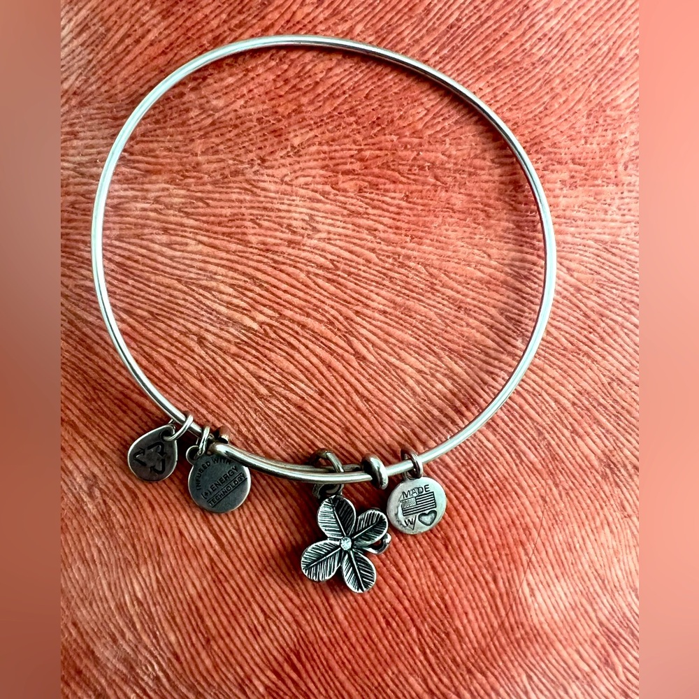 Alex and Ani lucky charm bracelet